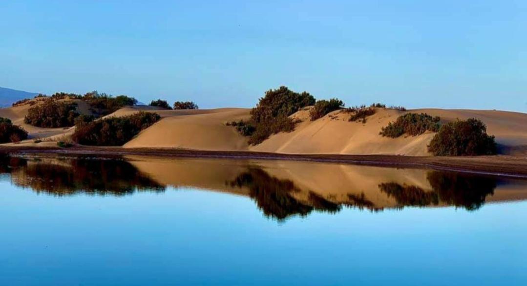 Barber Las Brisas Плайя-дель-Инглес Экстерьер фото